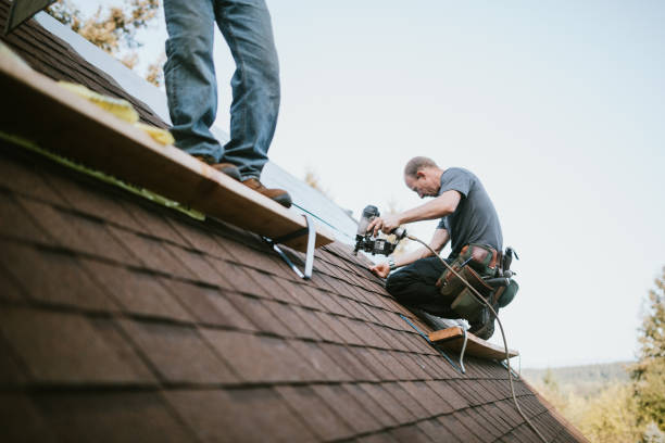 Best Roof Maintenance Services  in Woodson Terrace, MO